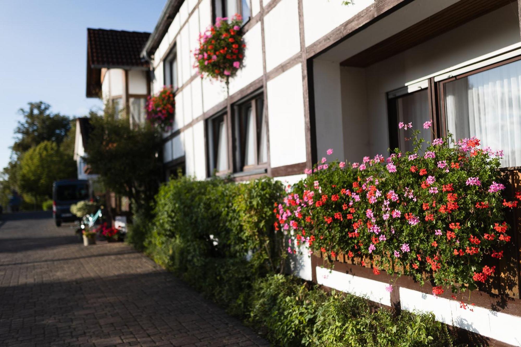 Pension Ridder Marienmünster Zewnętrze zdjęcie