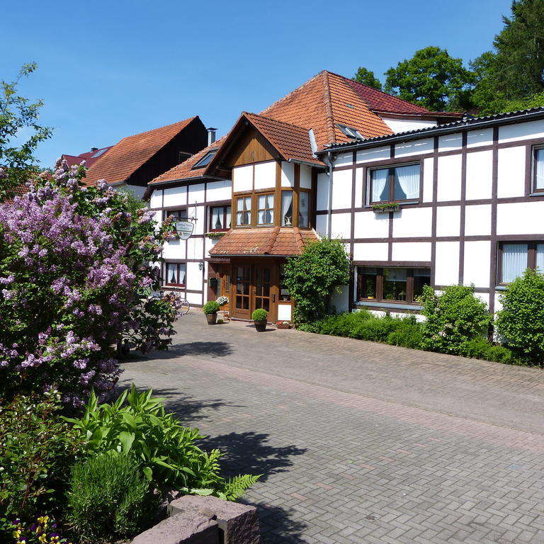 Pension Ridder Marienmünster Zewnętrze zdjęcie